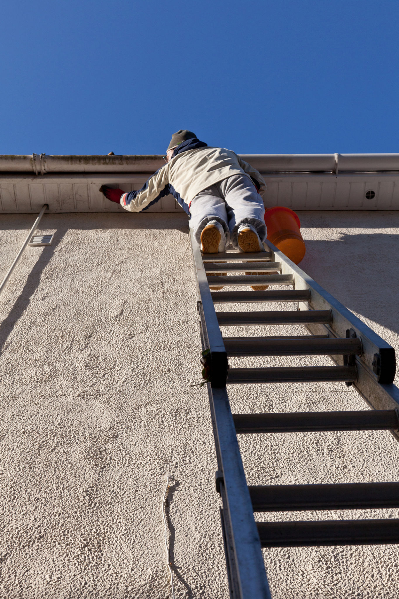 Shingle Roof Examination